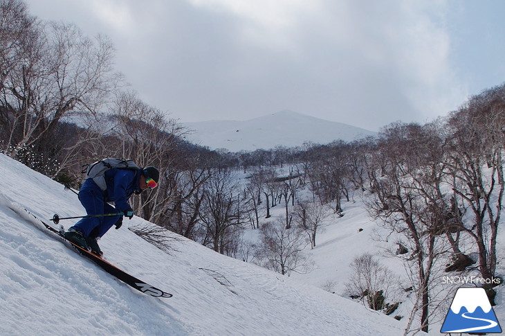 DYNASTAR SKI series Test Ride Days 2017 in ニセコユナイテッド【Day.1】～ニセコグラン・ヒラフ～